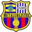 Team logo