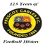 Team logo