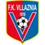 Team logo