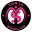 Team logo