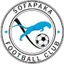 Team logo
