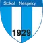 Team logo