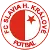 Team logo