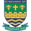 Team logo