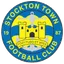 Team logo