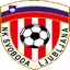 Team logo