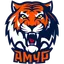 ХК Амур