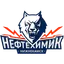 ХК Нефтехимик