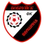 Белшина