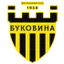 Буковина Черновцы
