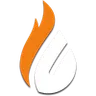 Copenhagen Flames