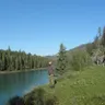 Владимир Медведев