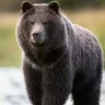 Александр Шараев