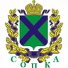 Алексей Сопкин