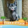 Александр Юрьевич Сирота
