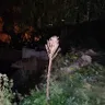 василий семянников