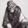 g0rilla BM
