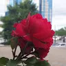 Ирина Булатова