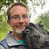 Black schnauzer