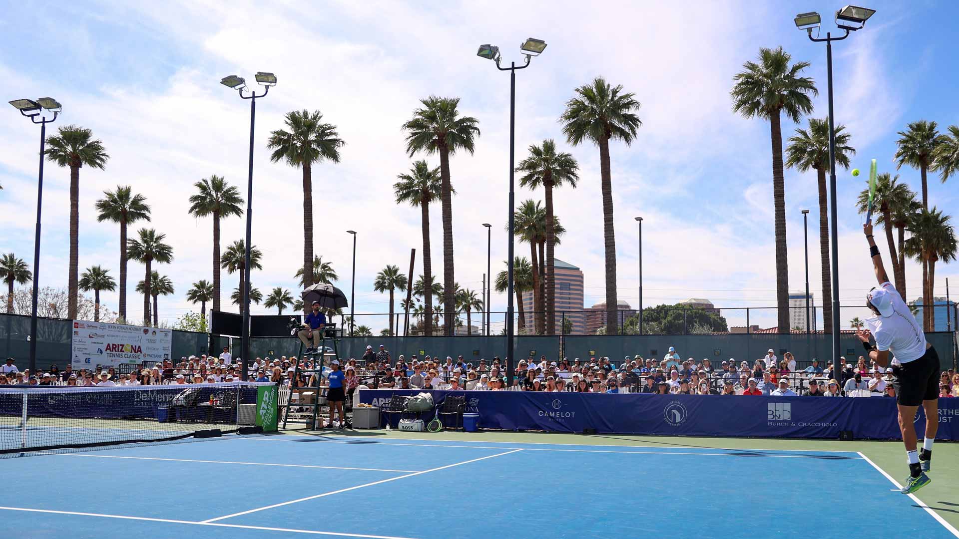 Теннисный матч ATP в Брисбене остановили из-за появления змеи на корте