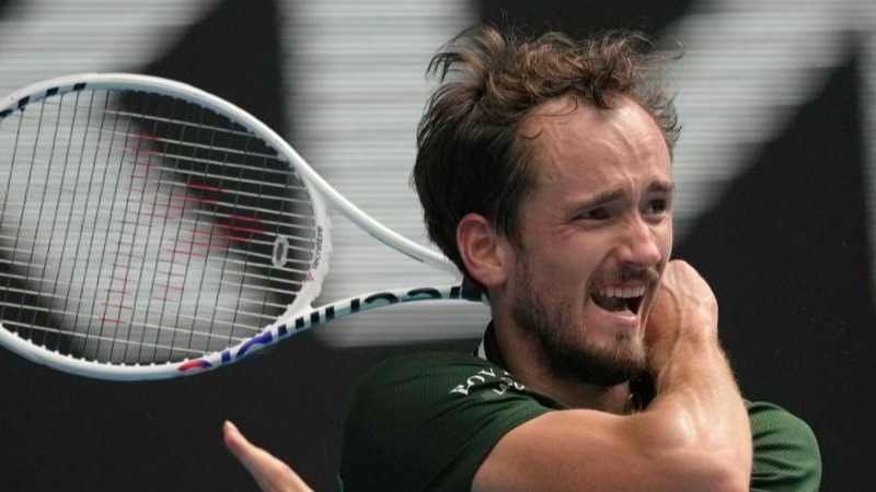 Медведев победил Маннарино в 1/8 турнира категории ATP-500