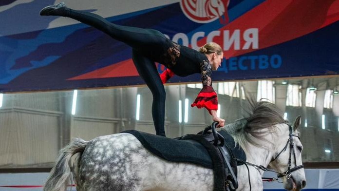 Красноярские конники успешно выступили в Москве на Кубке России по вольтижировке