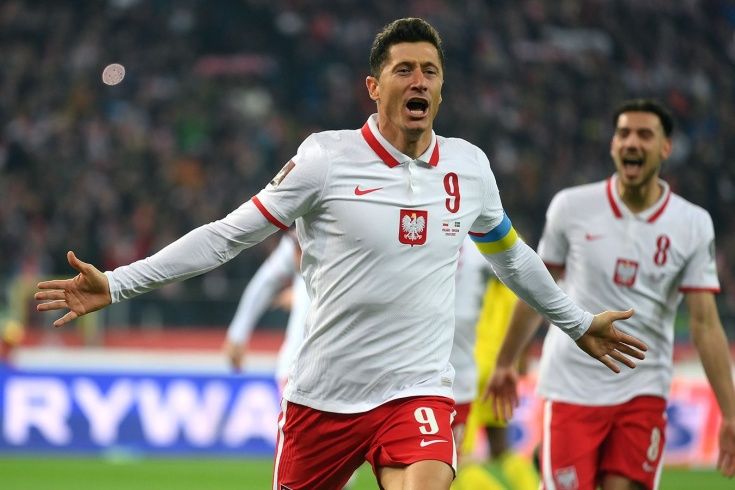 Польские фанаты кричали оскорбления в адрес России на матче Польша - Швеция