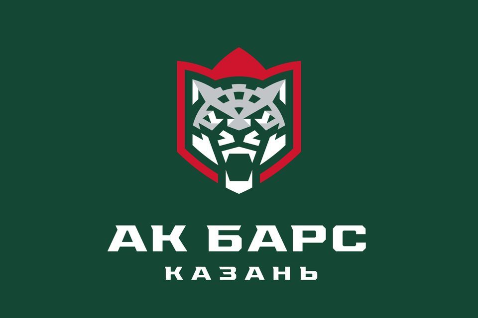 Ак барс чемпион картинки