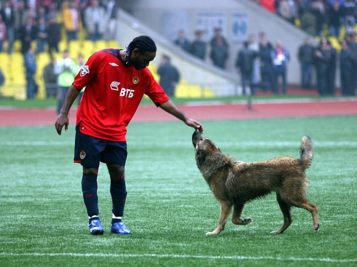 Вагнер Лав с собакой