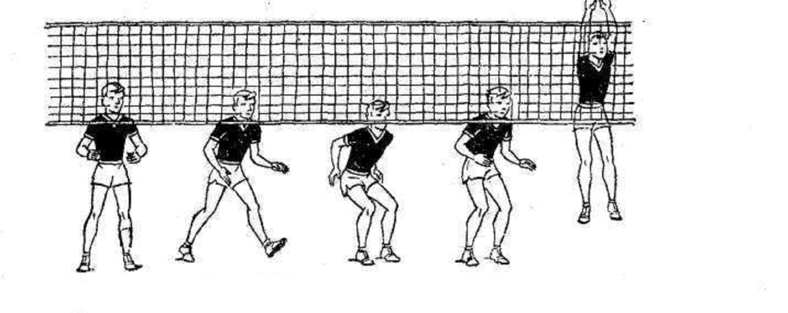 Техника одиночного блокирования в волейболе